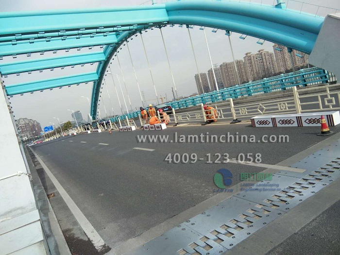 道路隔離帶景觀提升設計方案