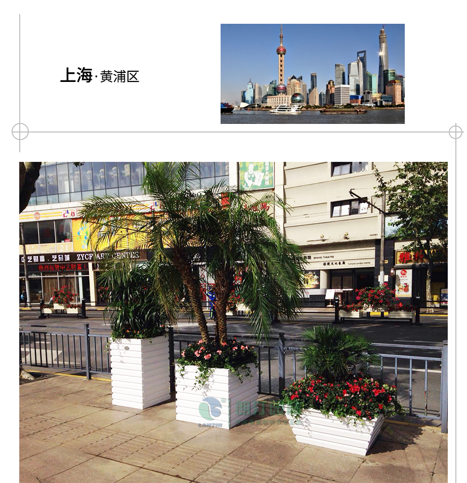 上海黃浦區人行道綠化