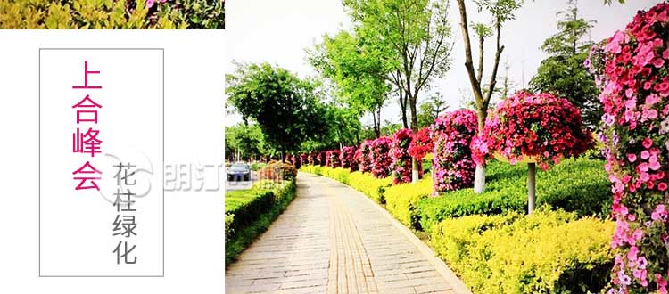 上合峰會(huì)花柱造景