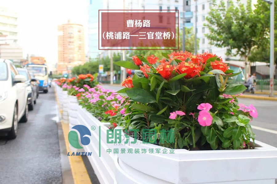 普陀區 曹楊路（桃浦路-三官堂橋段）弧形馬槽道路綠化花箱效果圖