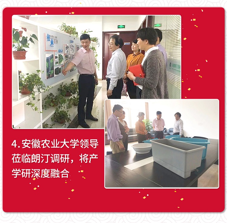 安農大領導蒞臨朗汀調研