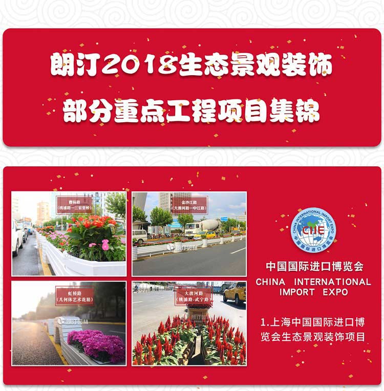 中國國際進口博覽會生態(tài)景觀項目