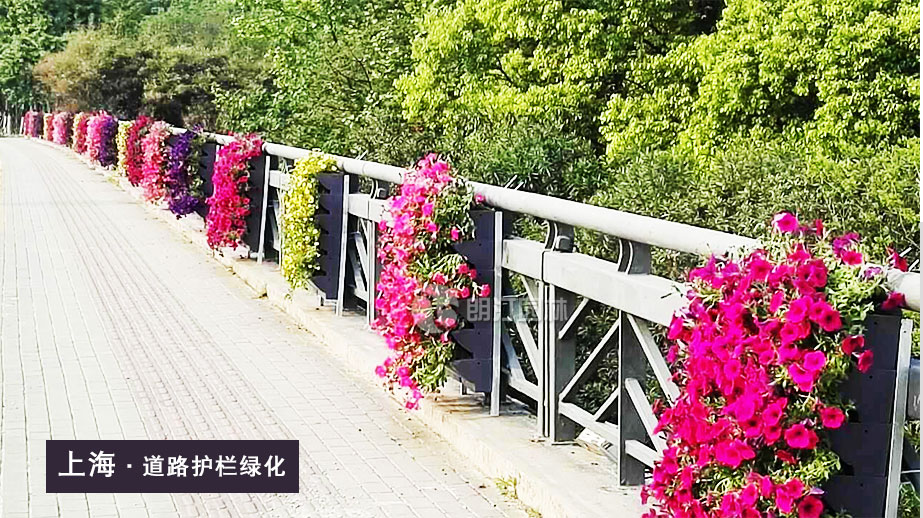 護欄花盆廠家提供隔離護欄花盆