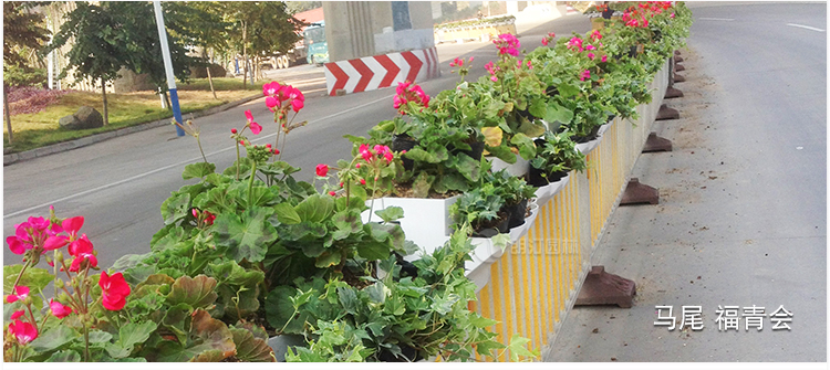 朗汀馬鞍式花盆 護欄掛花鞍馬花盆 護欄綠化服務商示例圖5