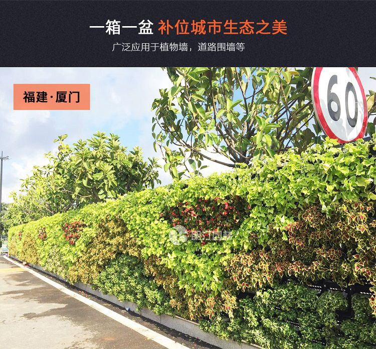 朗汀立體綠化