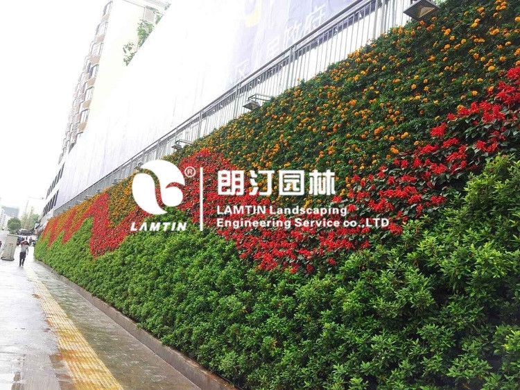朗汀立體綠化