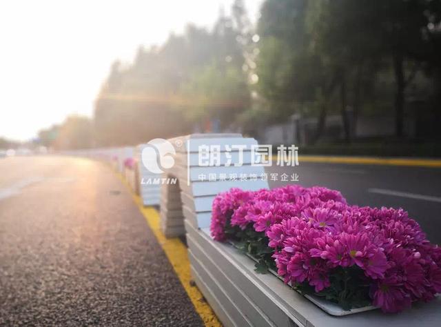 上海虹橋路幾何體藝術花箱