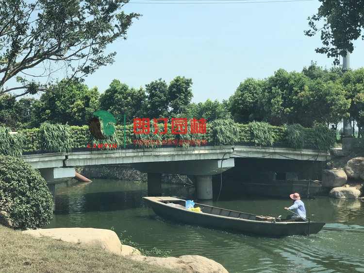 橋梁生態景觀