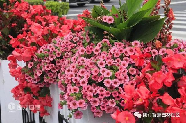方形雕花藝術花箱