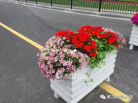 厲害了，上海長壽路上了頭條！