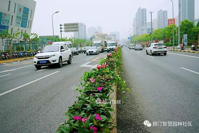 厲害了，上海長壽路上了頭條！