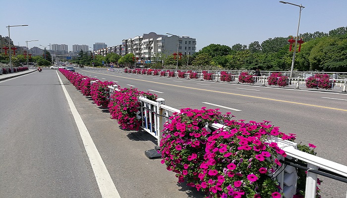 朗汀園林花箱，還未來(lái)一片藍(lán)天