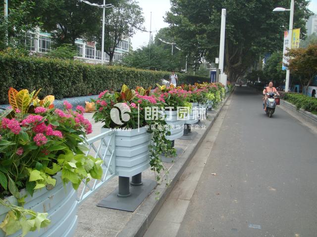 為南京點(diǎn)贊！擦亮生態(tài)之城名片！