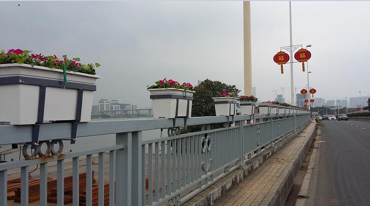 福建福州橋梁護欄綠化工程案例