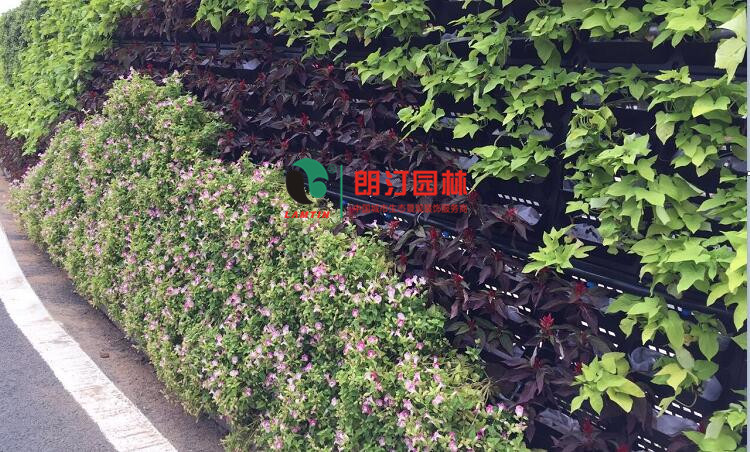 廈門金磚會議植物墻案例