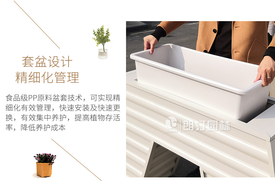 鋁合金花箱套盆設(shè)計精細化養(yǎng)護