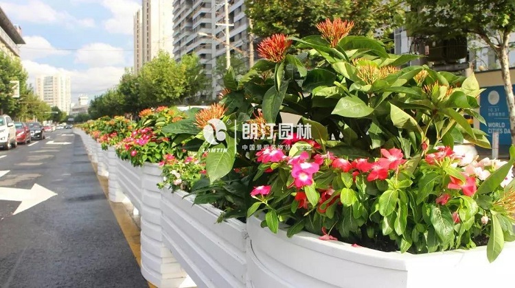 上海進博會生態空間規劃落地項目