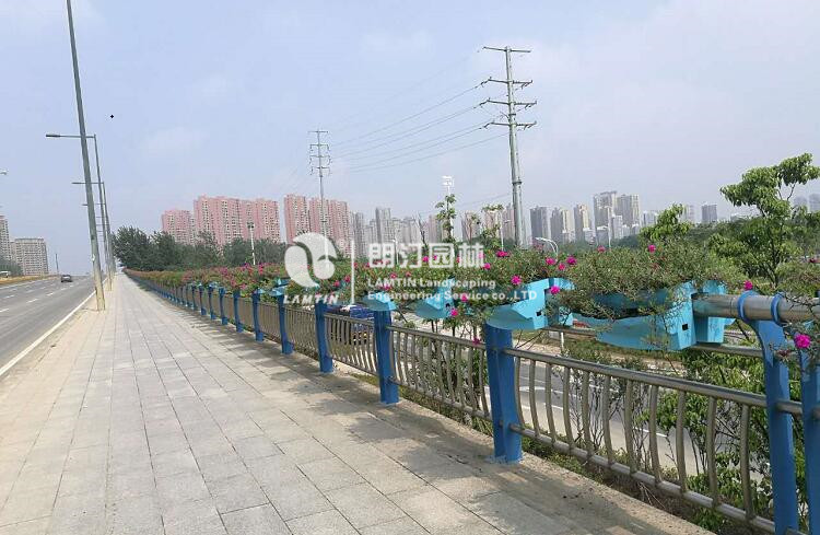 護(hù)欄景觀提升綠化工程