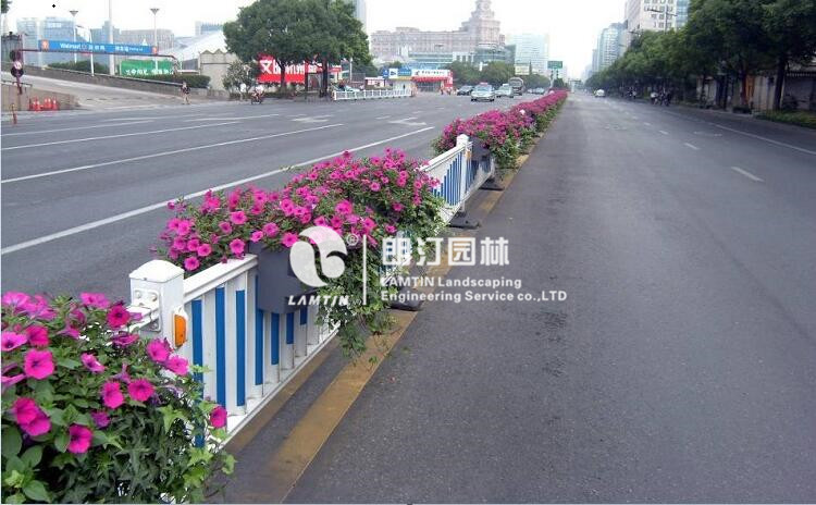 道路隔離護(hù)欄綠化案例