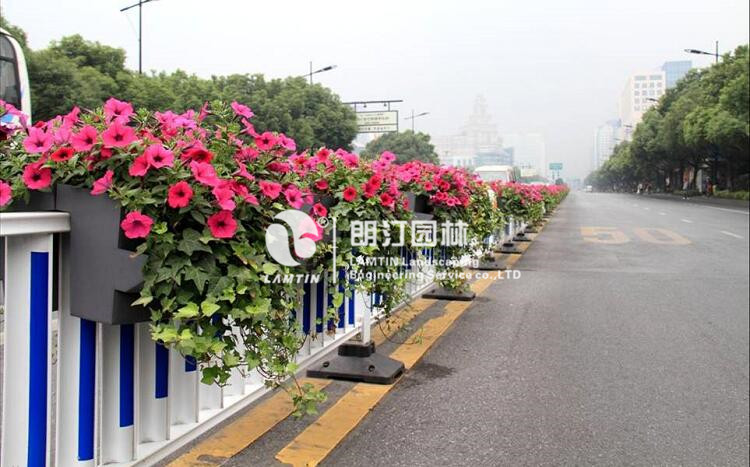 鞍式花盆使用現(xiàn)場(chǎng)圖