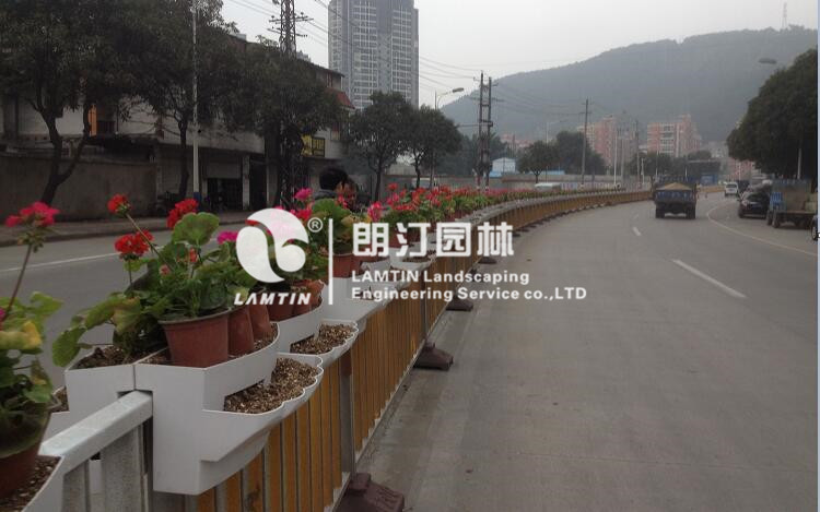 護欄掛花綠化