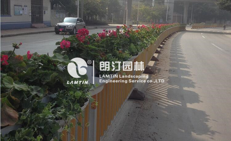 福建三明隔離護欄景觀綠化案例