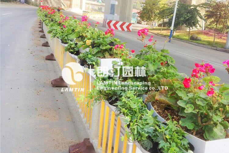 護欄綠化景觀成景效果