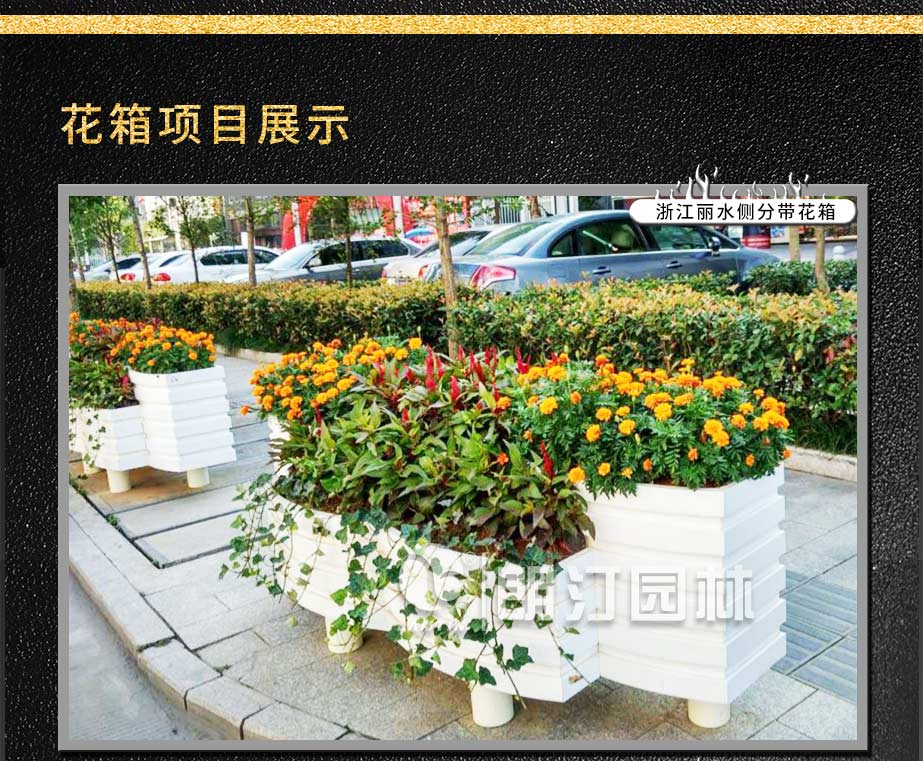 浙江麗水側分帶綠化項目