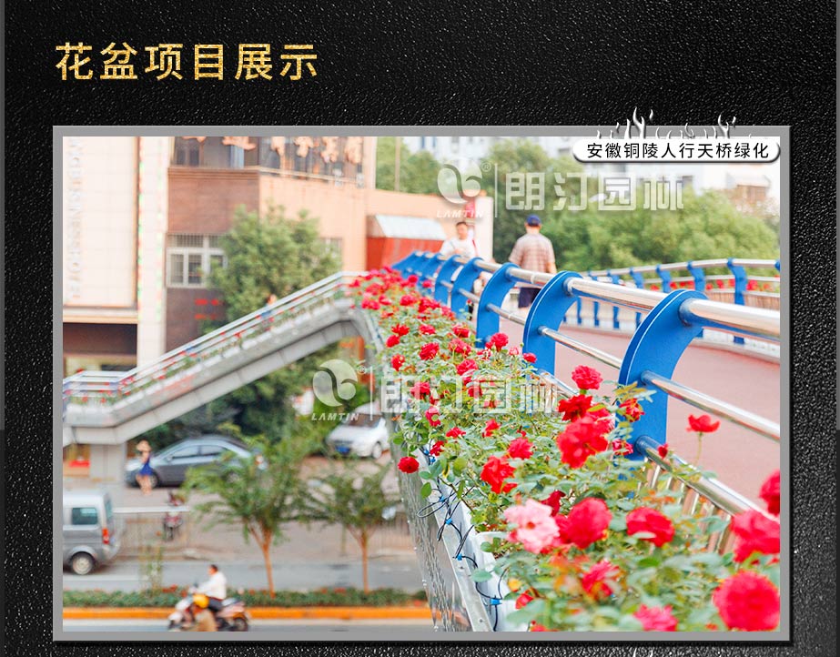 杜曉雅_06.jpg