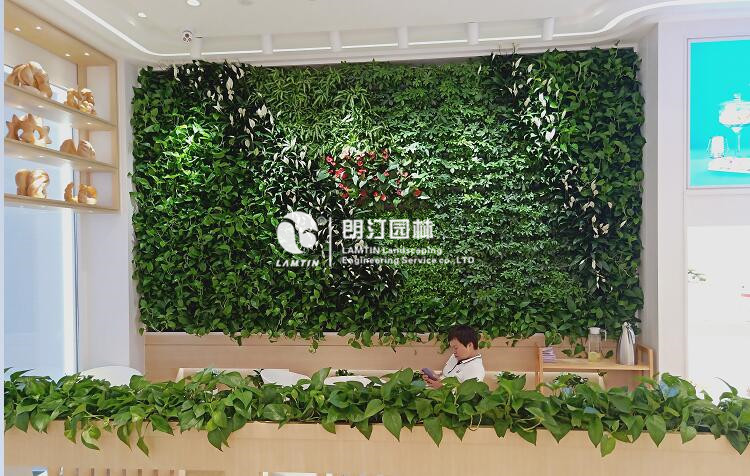 商店室內墻體綠化工程案例