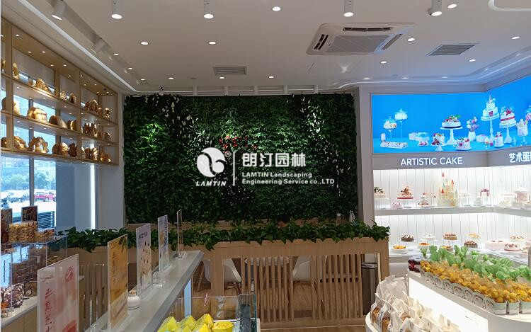 室內植物墻效果實景圖