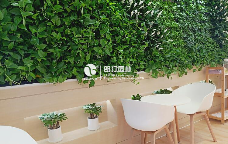 蛋糕店室內景觀植物墻
