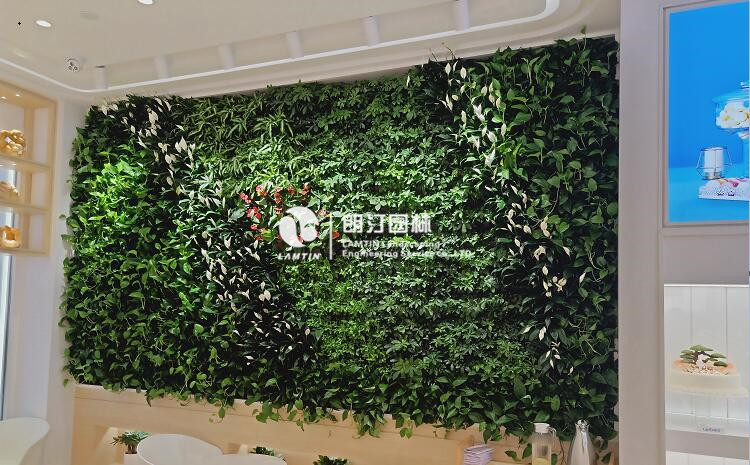 蛋糕店室內景觀植物墻