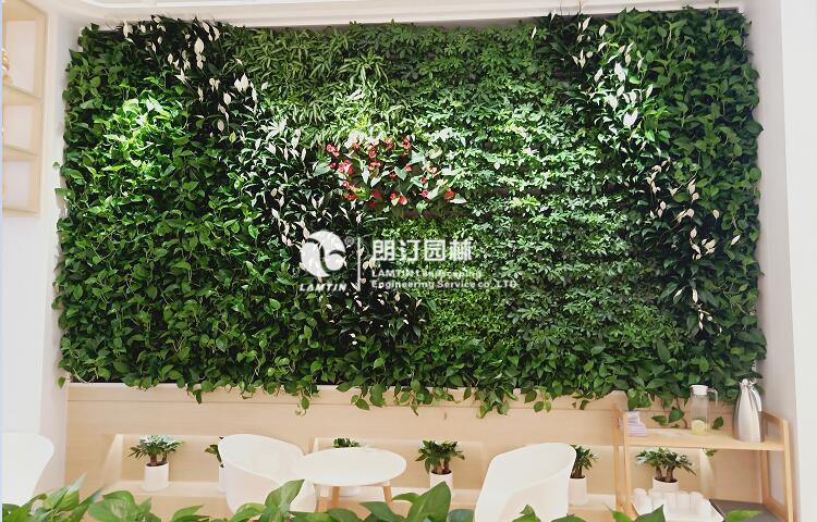 室內垂直綠化景觀植物墻