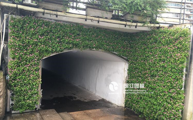 地下通道入口垂直綠化植物墻