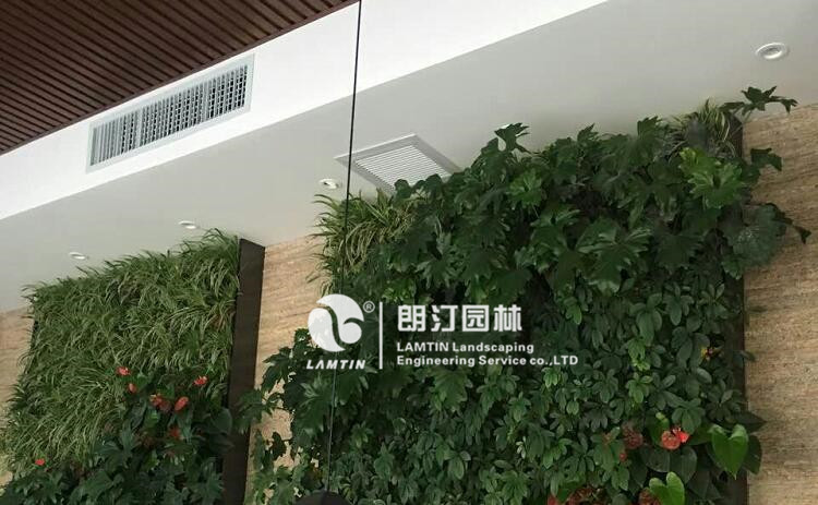 室內墻體綠化工程案例