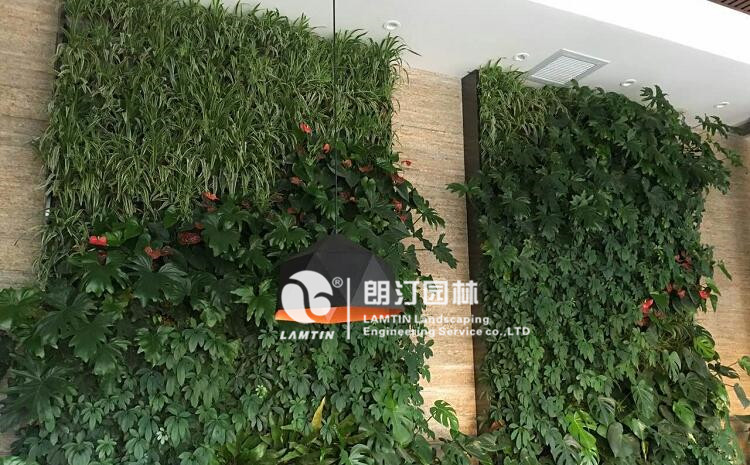 辦公樓室內景觀綠化植物墻