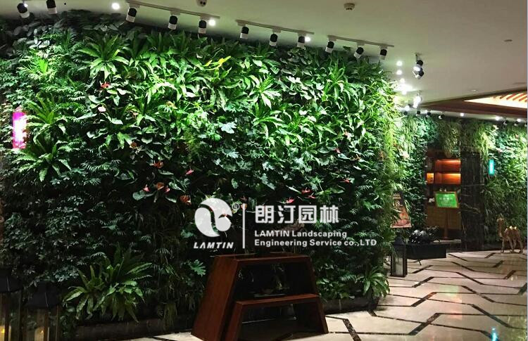 深圳室內墻體綠化案例,垂直綠化花盆使用案例