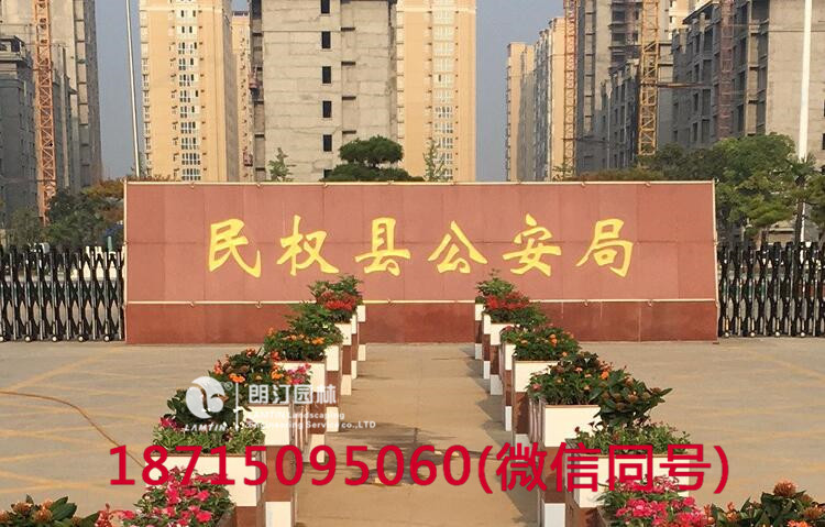朗汀花箱進駐民權縣 打造廣場花箱景觀