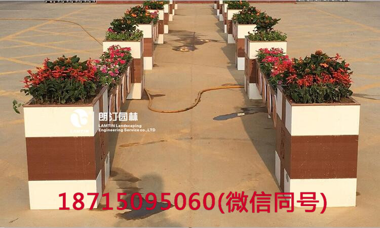 朗汀花箱進駐民權縣 打造廣場花箱景觀