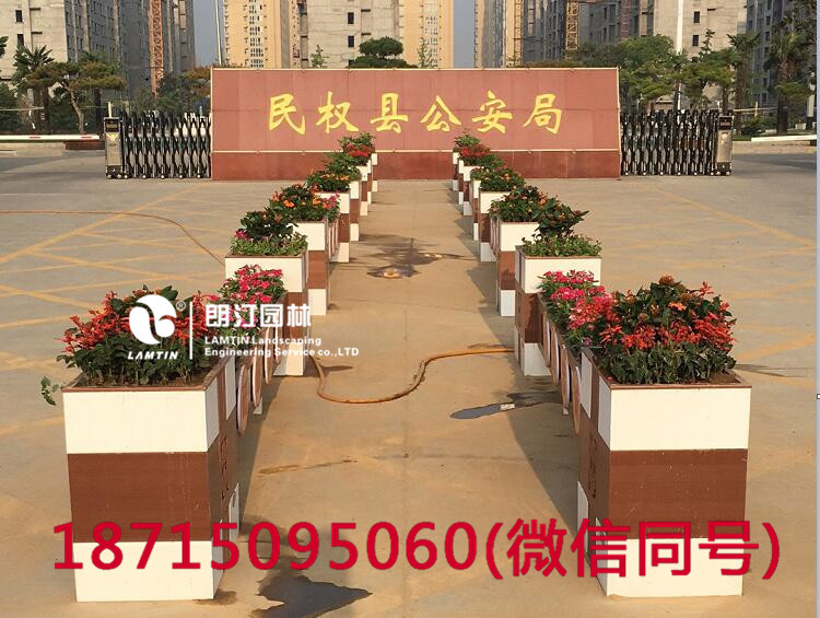 朗汀花箱進駐民權縣 打造廣場花箱景觀