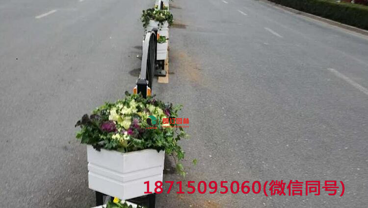 朗汀園林道路景觀花箱打造巢湖生態家園建設