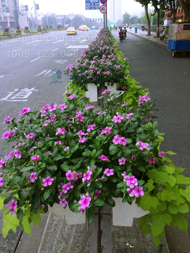 高架橋綠化