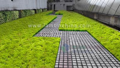 屋頂綠化公司