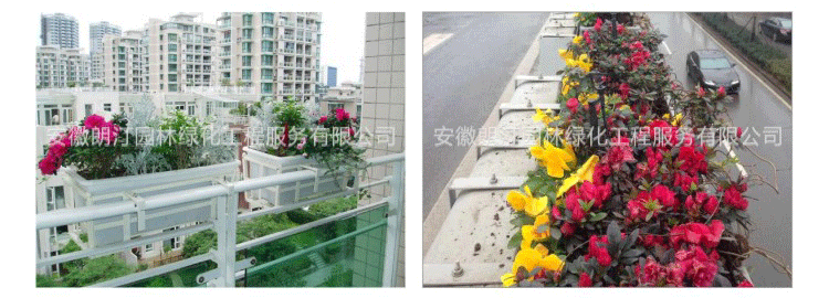 護欄綠化