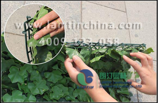 仿真植物墻 仿真植物墻
