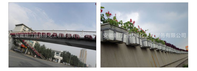 高架橋綠化花盆