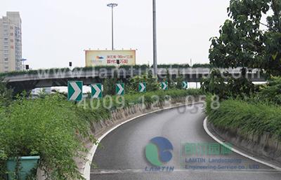 高架橋綠化