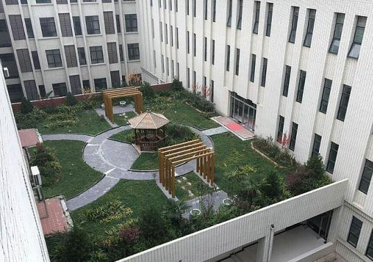 屋頂綠化
