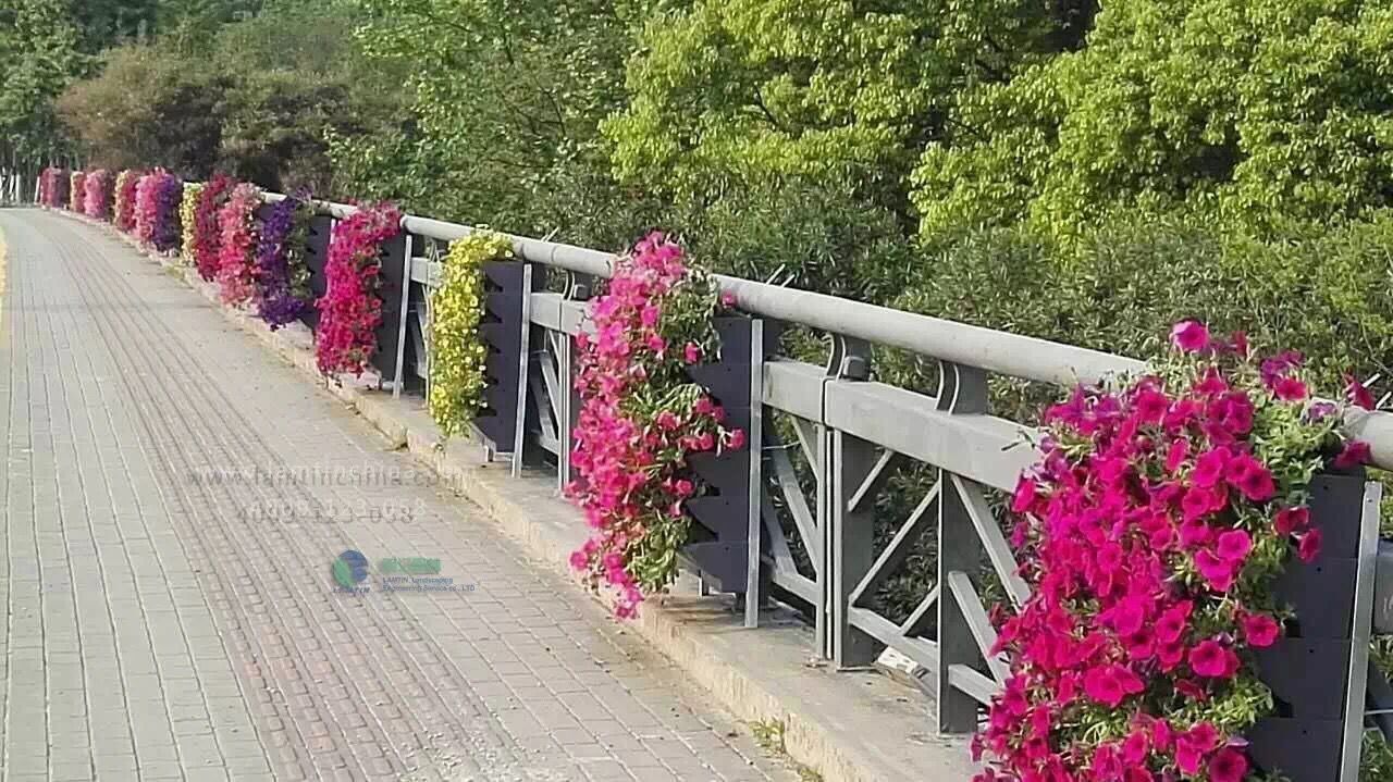 護欄綠化 護欄綠化